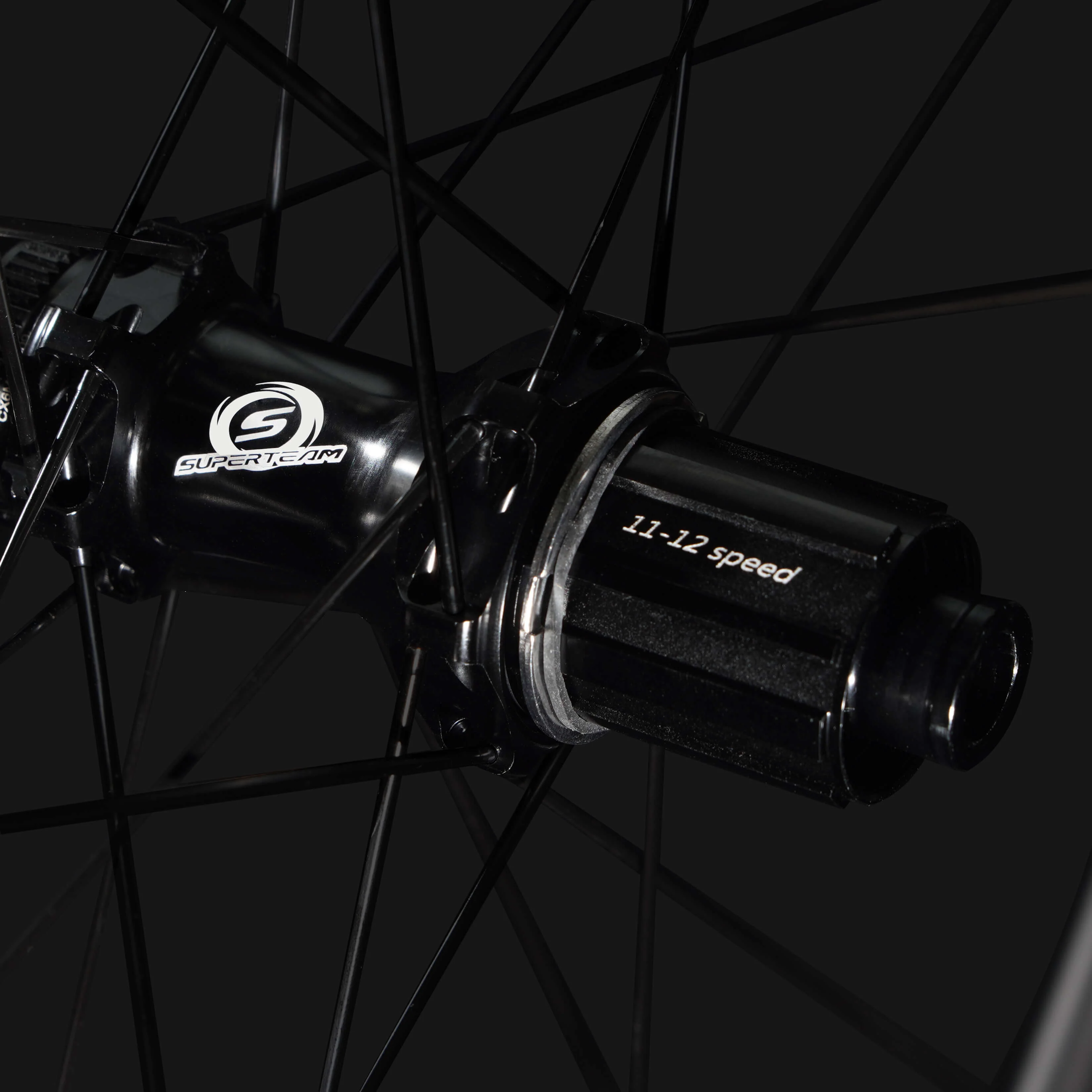 Classic PRO D28-45 Disc Brake Black Decals PILLAR WING21 Spokes - Image 4