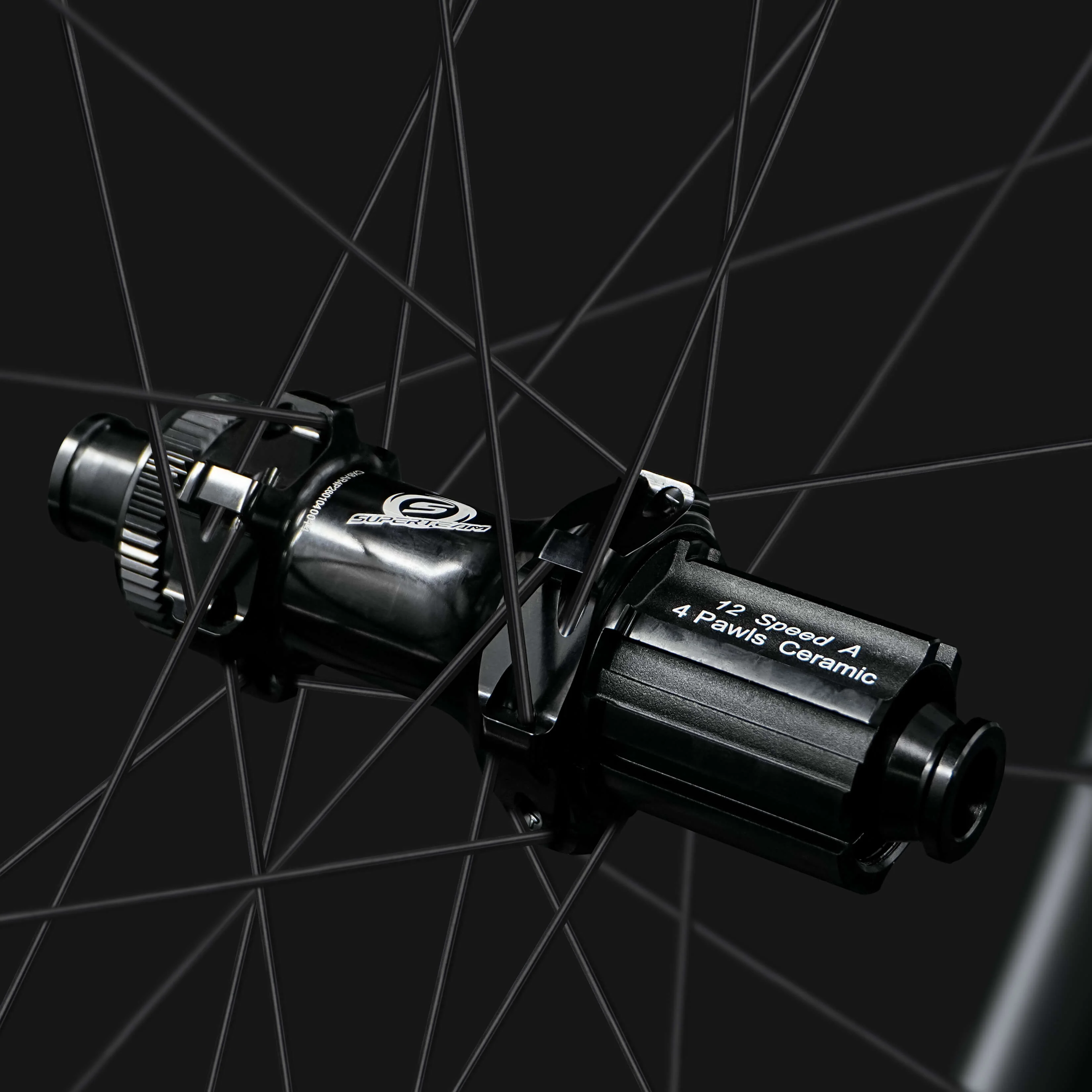 Classic PRO D28-45 DISC Brake Carbon Wheelset Campagnolo Hub - Image 5