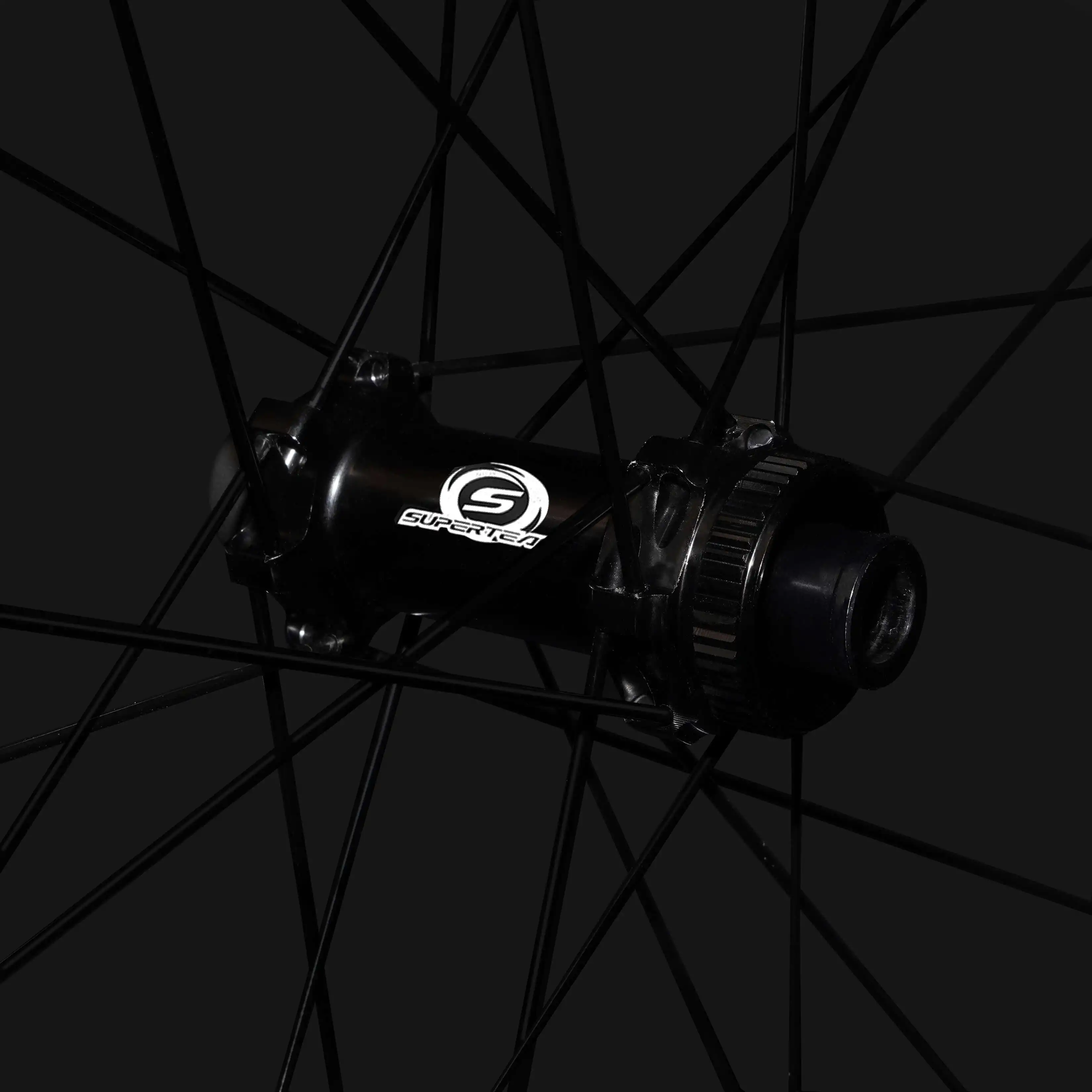Classic PRO D28-45 Disc Brake Black Decals PILLAR WING21 Spokes - Image 5
