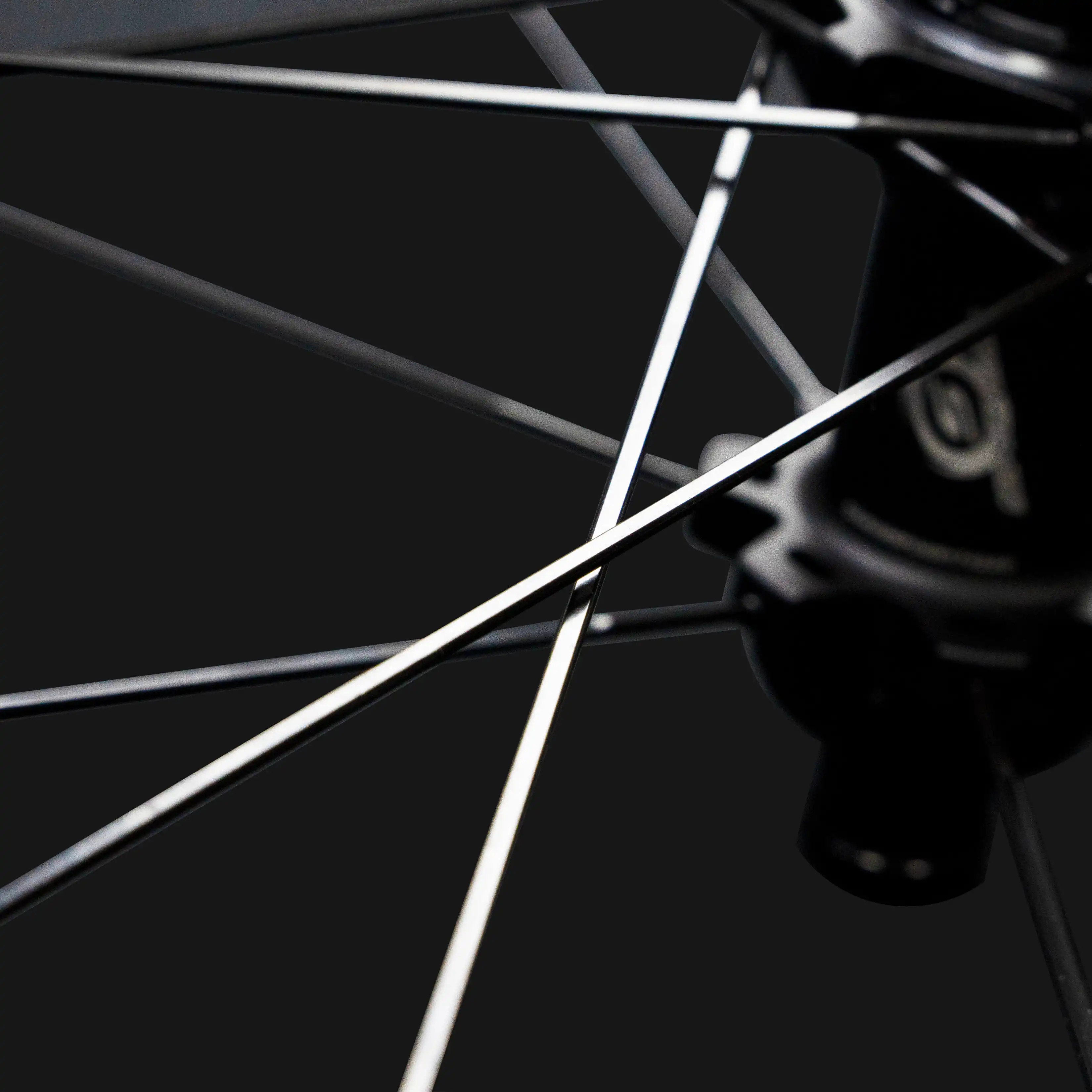 Classic PRO D28-50 DISC Brake Shine Decals White Rim - Image 4