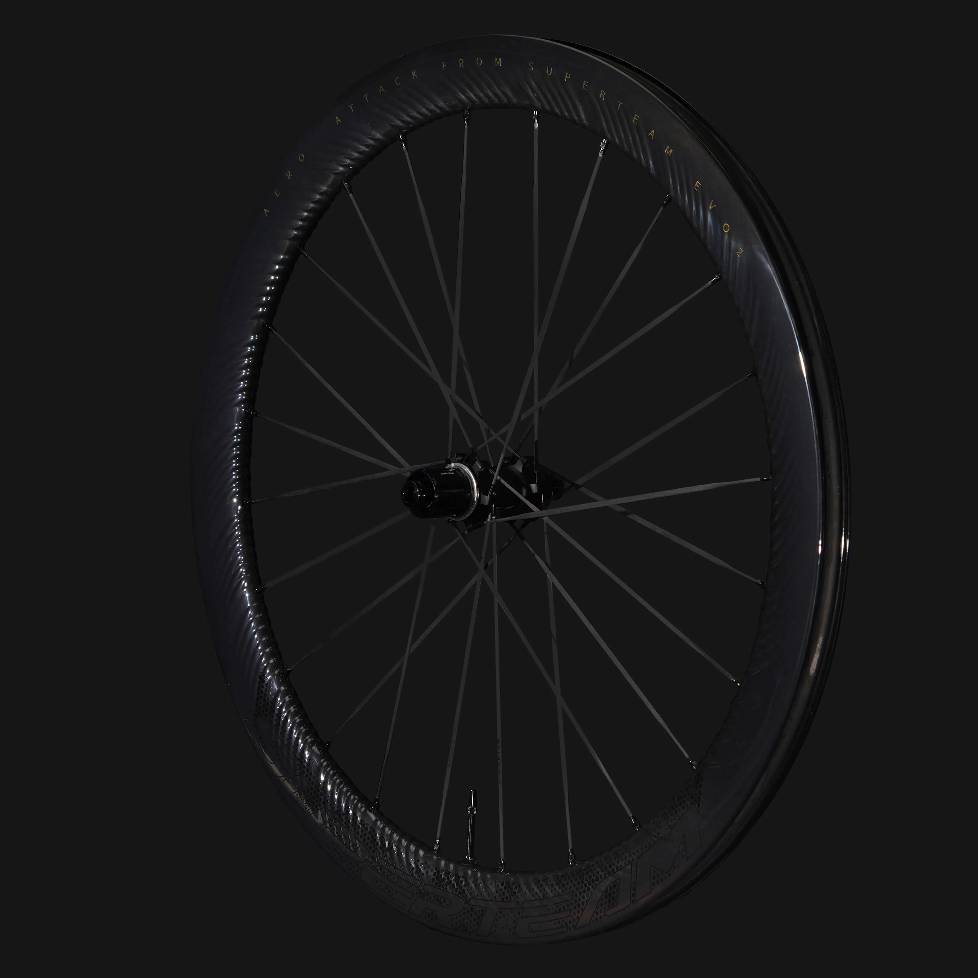 S-ALL Carbon EVO Ⅱ D30-50 DISC Brake Black Decals - Image 10