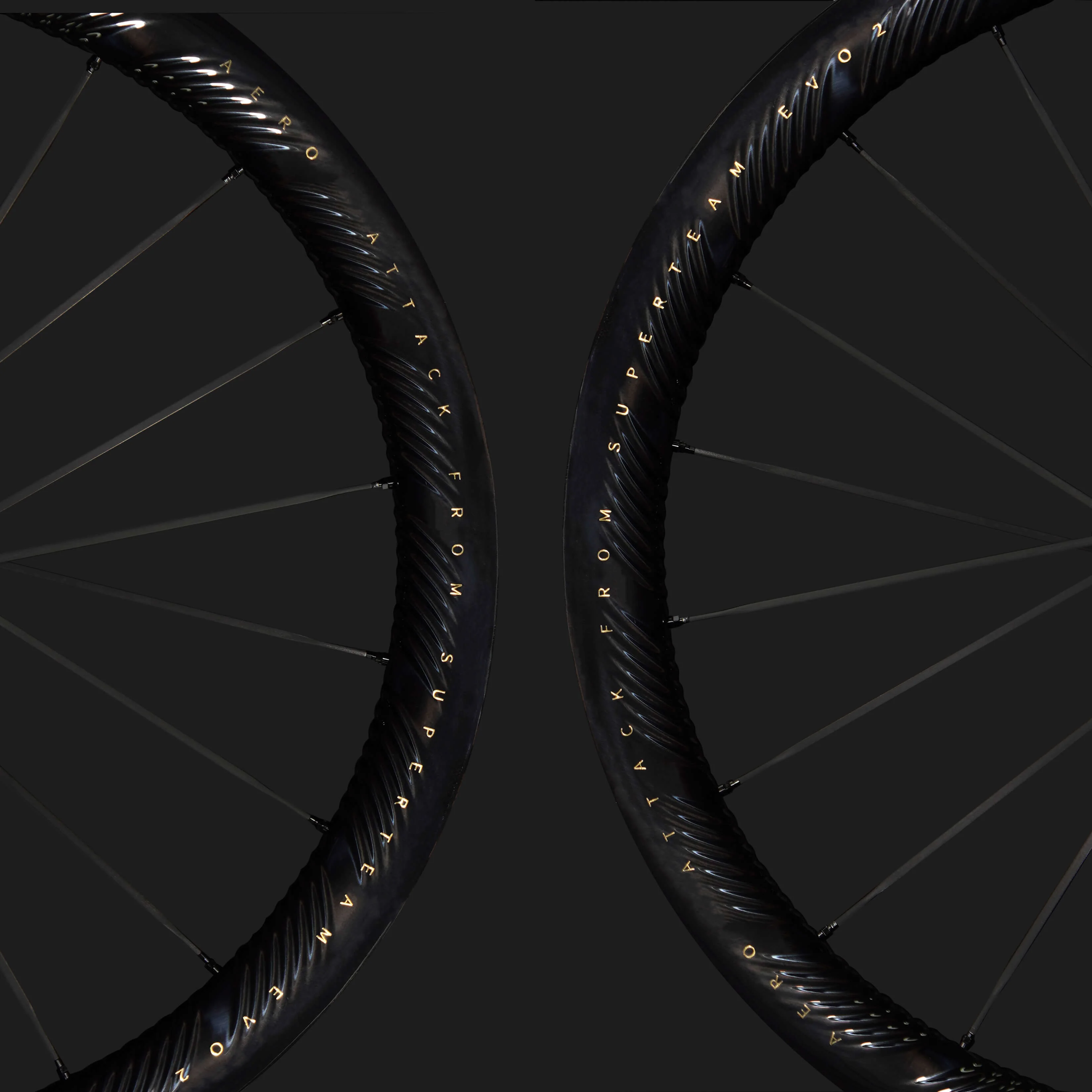 S-ALL Carbon EVO Ⅱ D30-50 DISC Brake Black Decals - Image 8