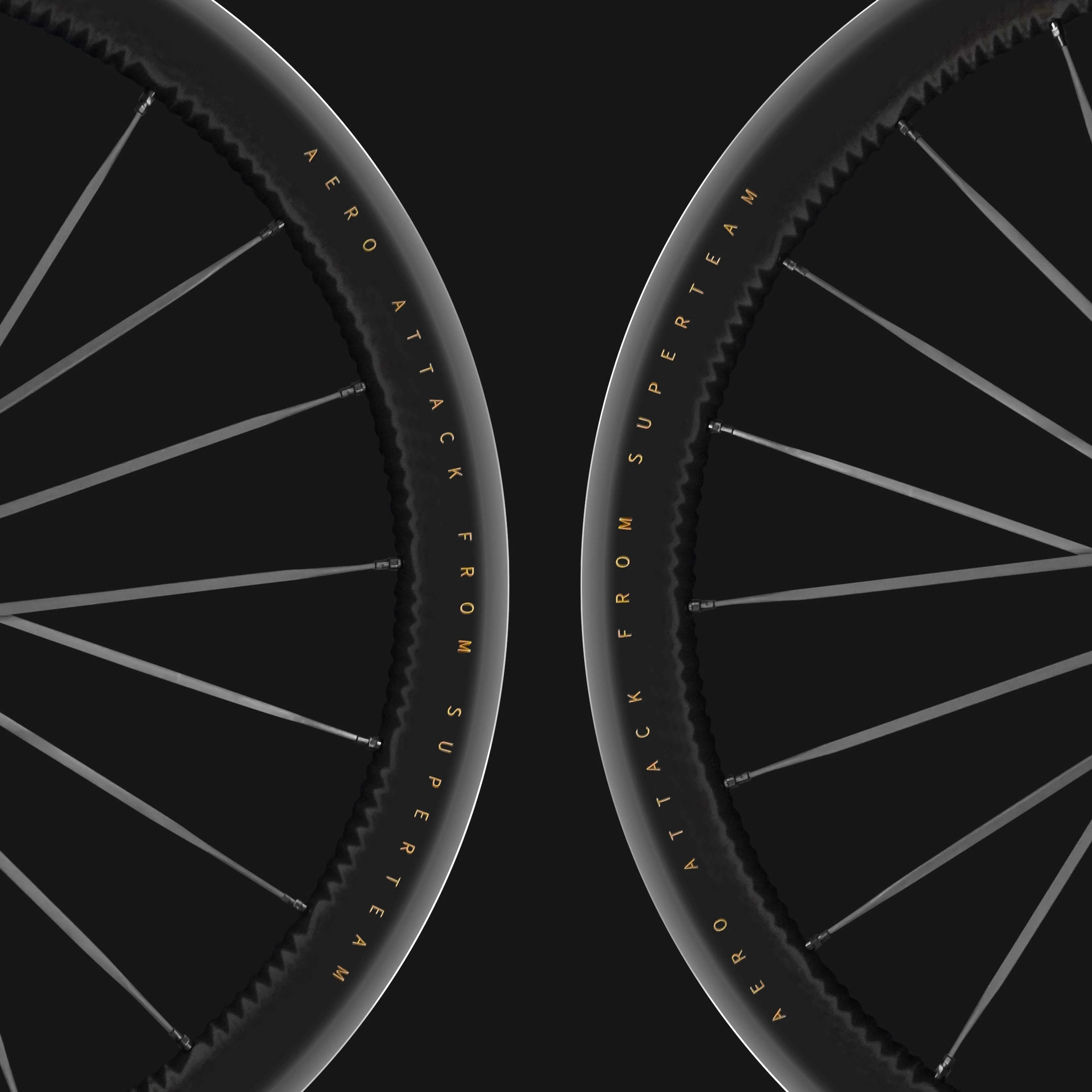 S-ALL Carbon EVO D28-50 DISC Brake Carbon Wheelset - Image 7